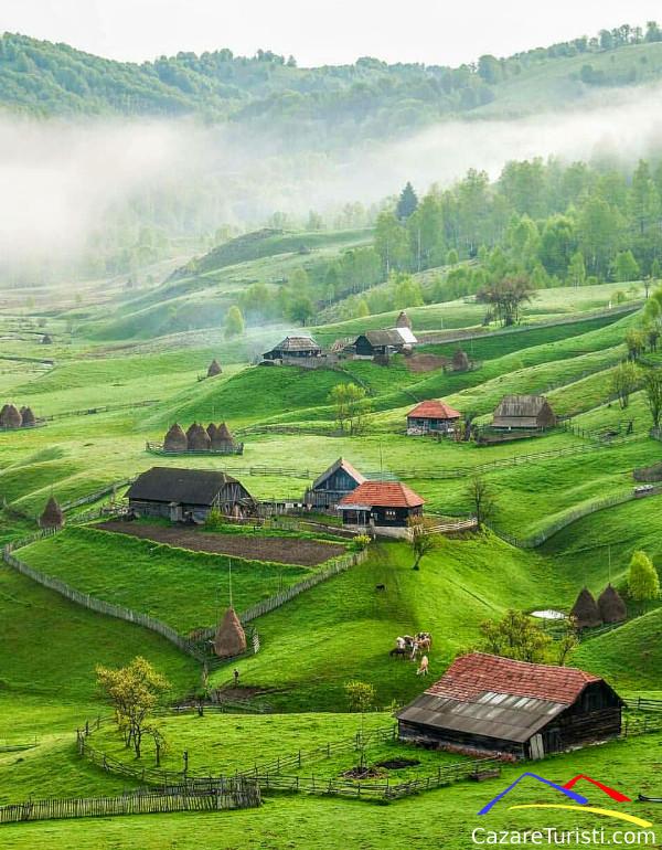 Bucovina Accomodation