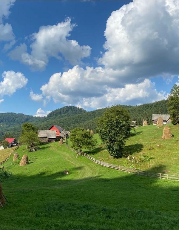 Apuseni Mountains Accommodation