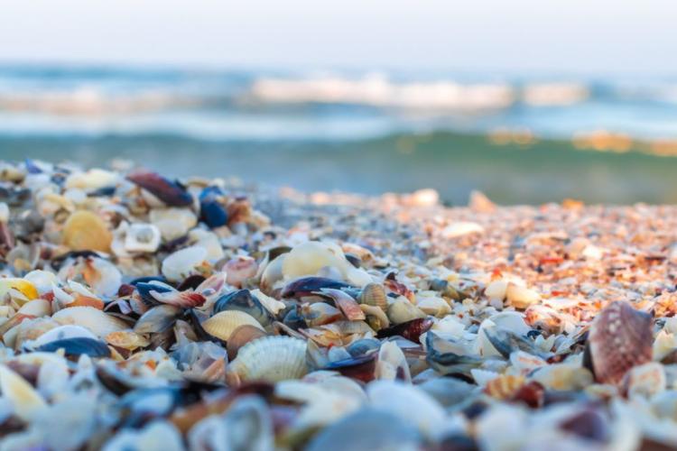 Tourist attractions on the Romanian coast